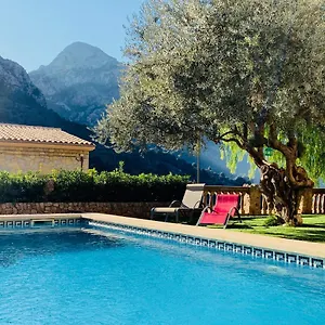  Hotel Pera - Ti